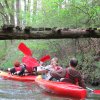 Kajaki___1_maja_2014_031